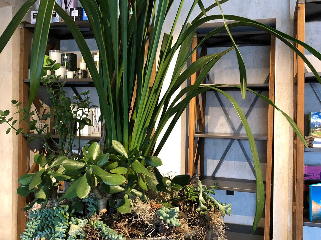 Pineville旅游景点-David J Witchell