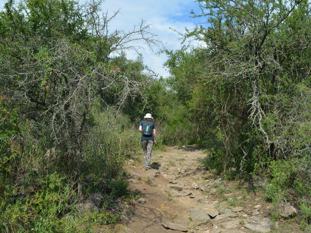 Reserva Natural La Cascada景点图片