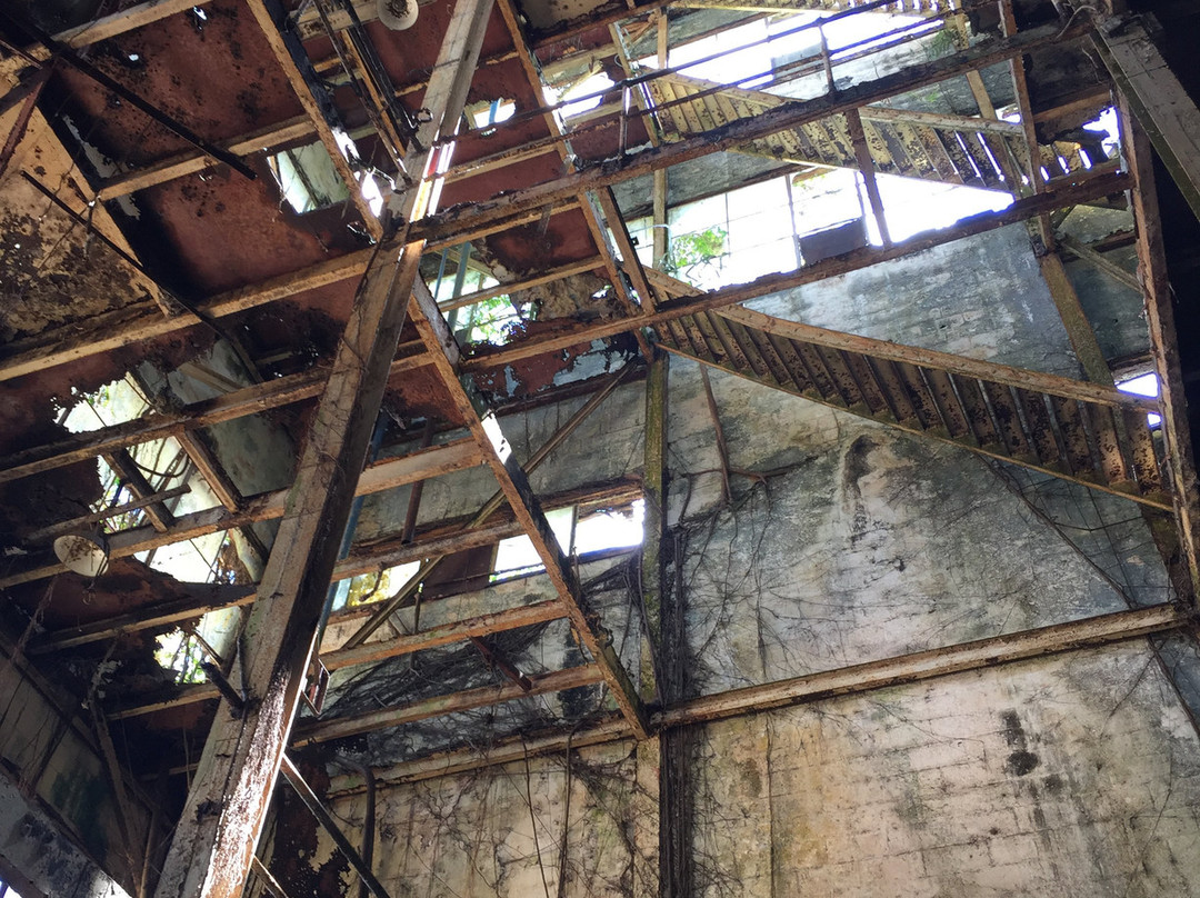 Marienburg suikerfabriek景点图片