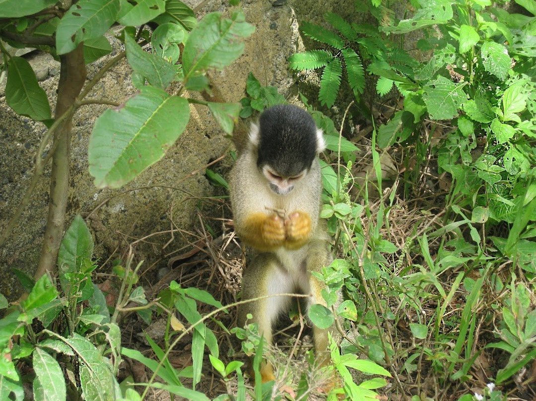 Dos Loritos-Paucartambo必去景点