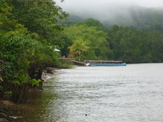 Amazonie Découverte