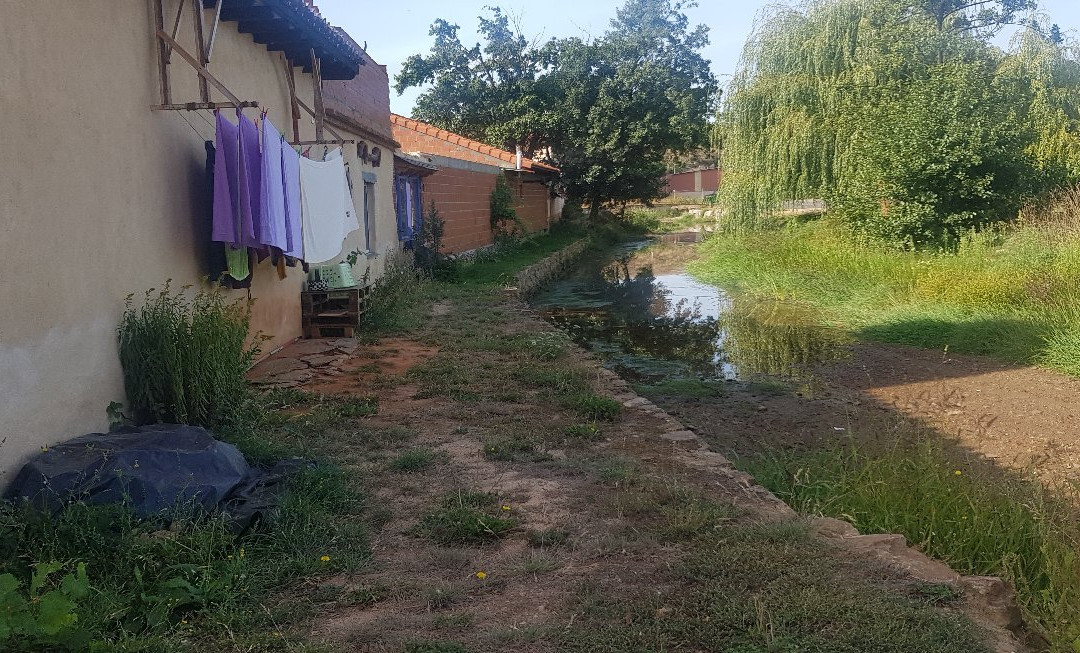 La Rosa de los Tiempos主图