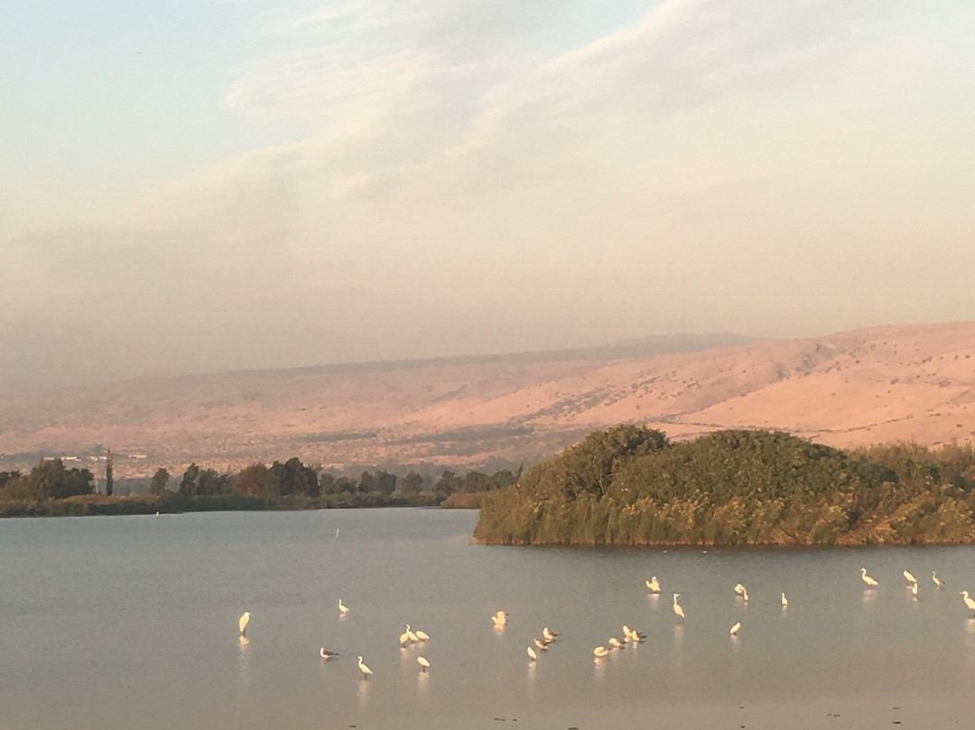 Hula Nature Reserve-加利利必去景点