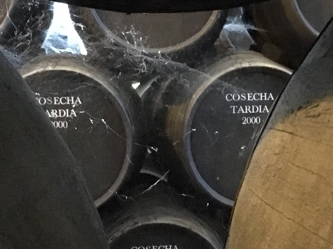 The House of Sandeman Jerez景点图片