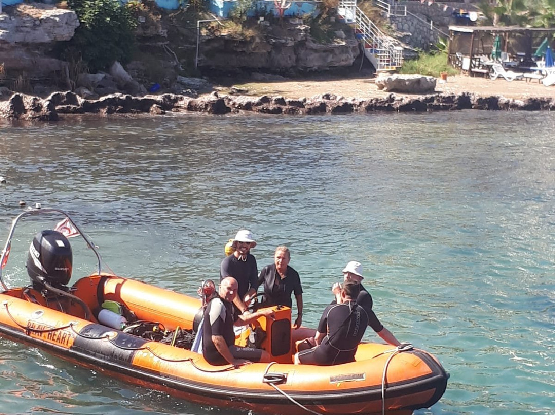 Cyprus Underwater Explorers-Lapta必去景点