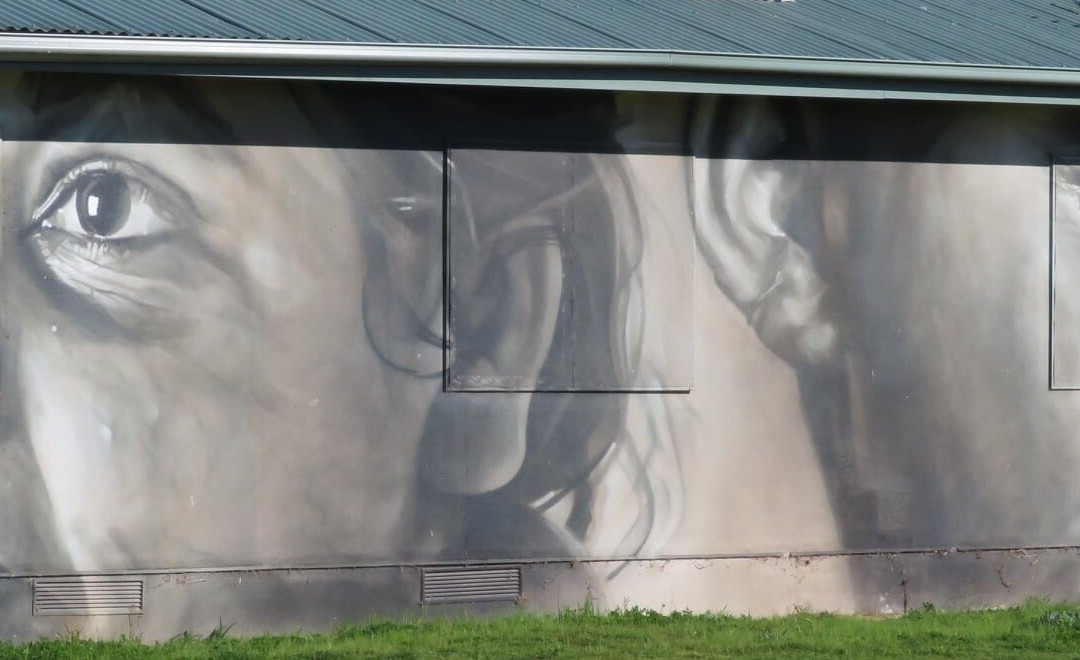 Raukkan Mural-Narrung必去景点