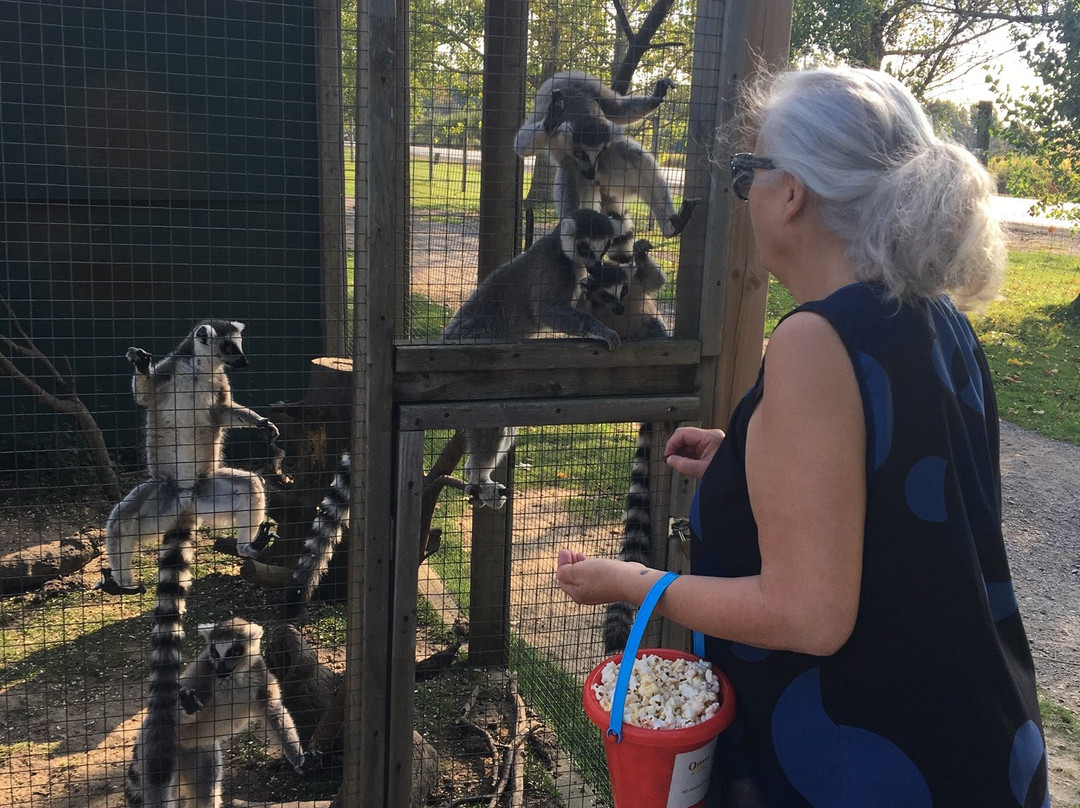 Oshawa Zoo-奥沙瓦必去景点