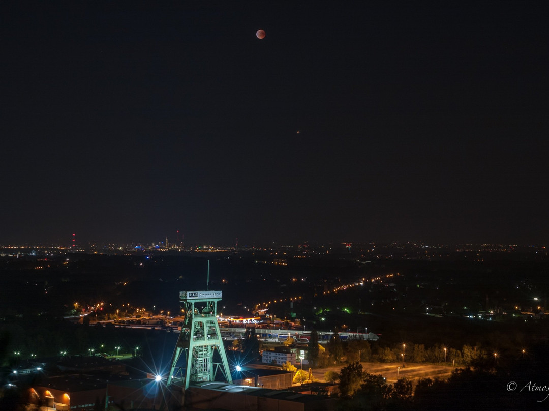 Halde Haniel (185m)景点图片