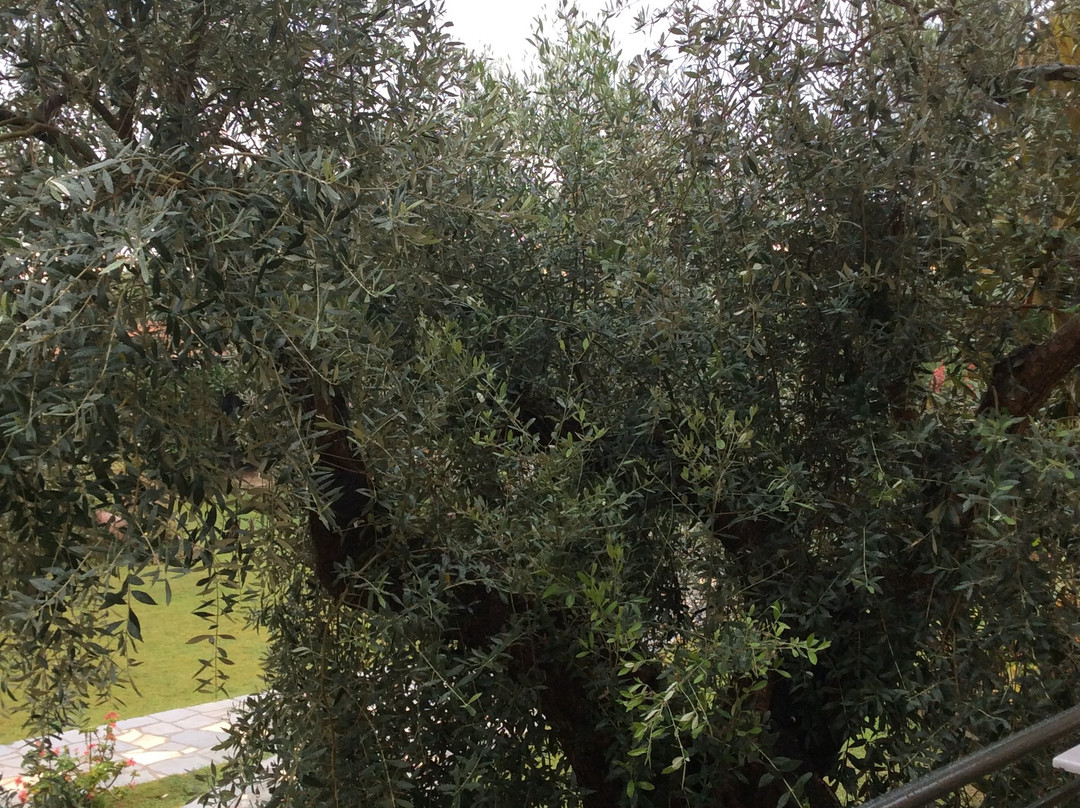 Nostos Studios主图