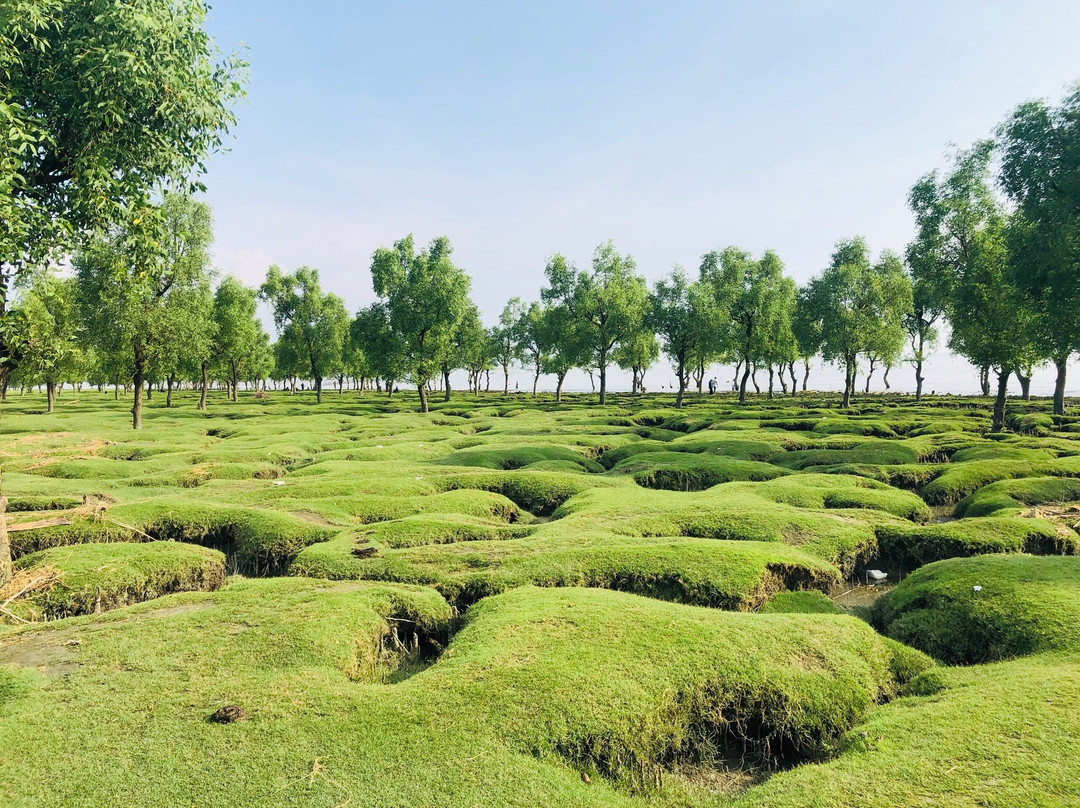 Guliakhali Sea Beach景点图片