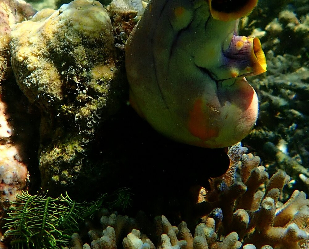 Komodo Island-科莫多国家公园必去景点