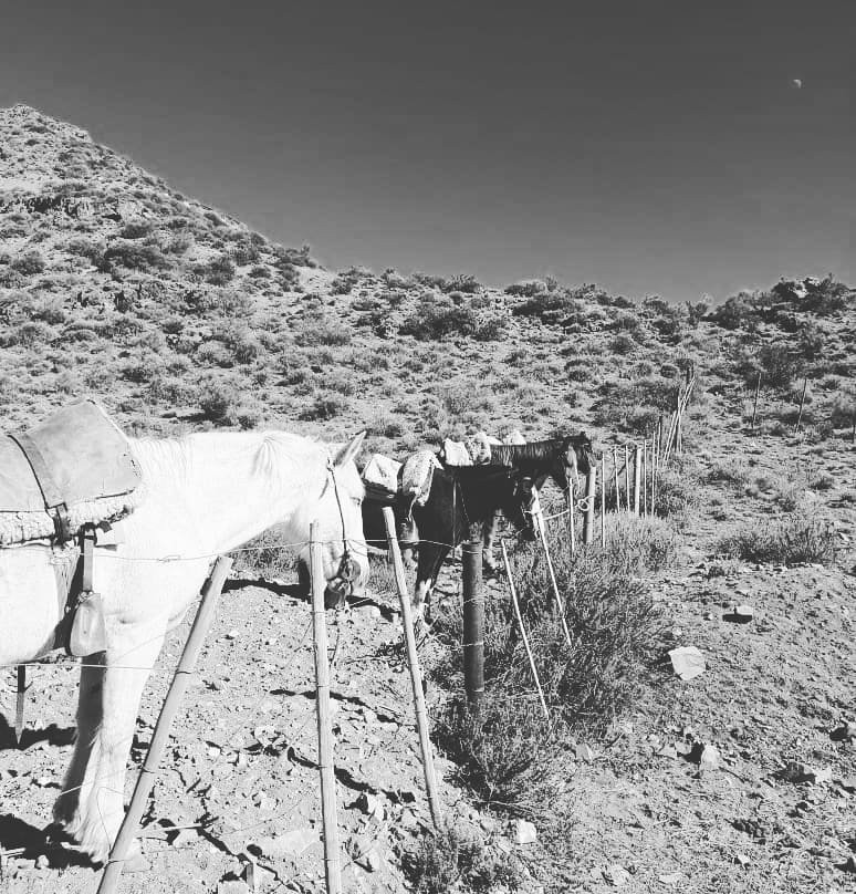 Reserva Natural Villavicencio-Las Heras必去景点