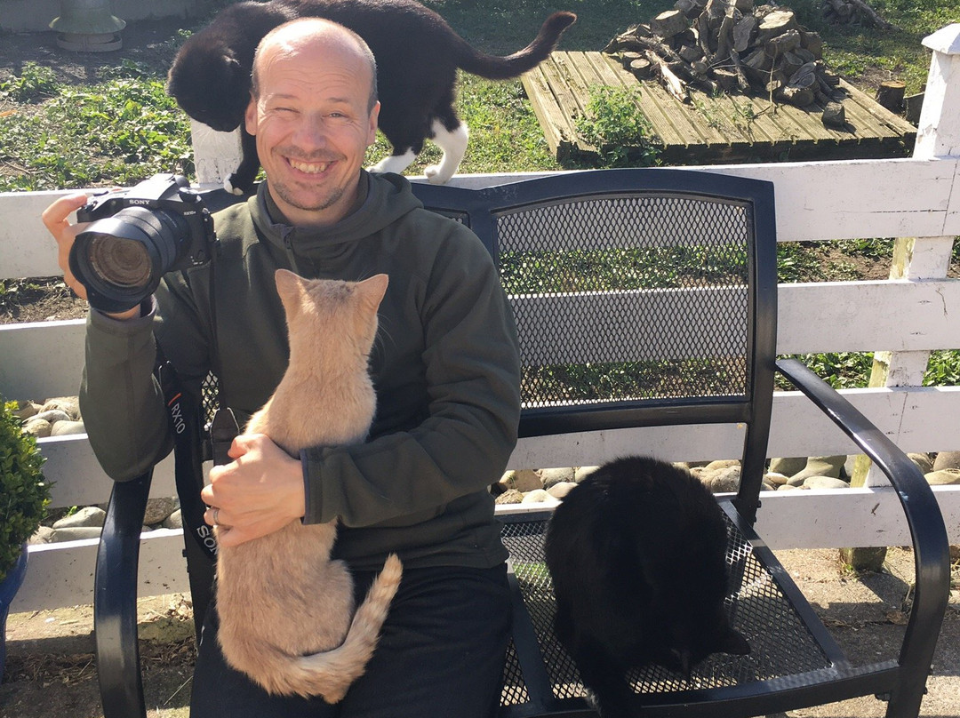 Mann Cat Sanctuary-Santon必去景点