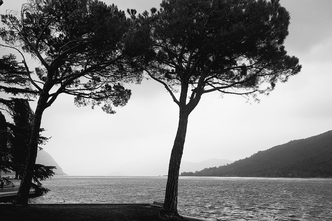 Lungolago di Sarnico景点图片
