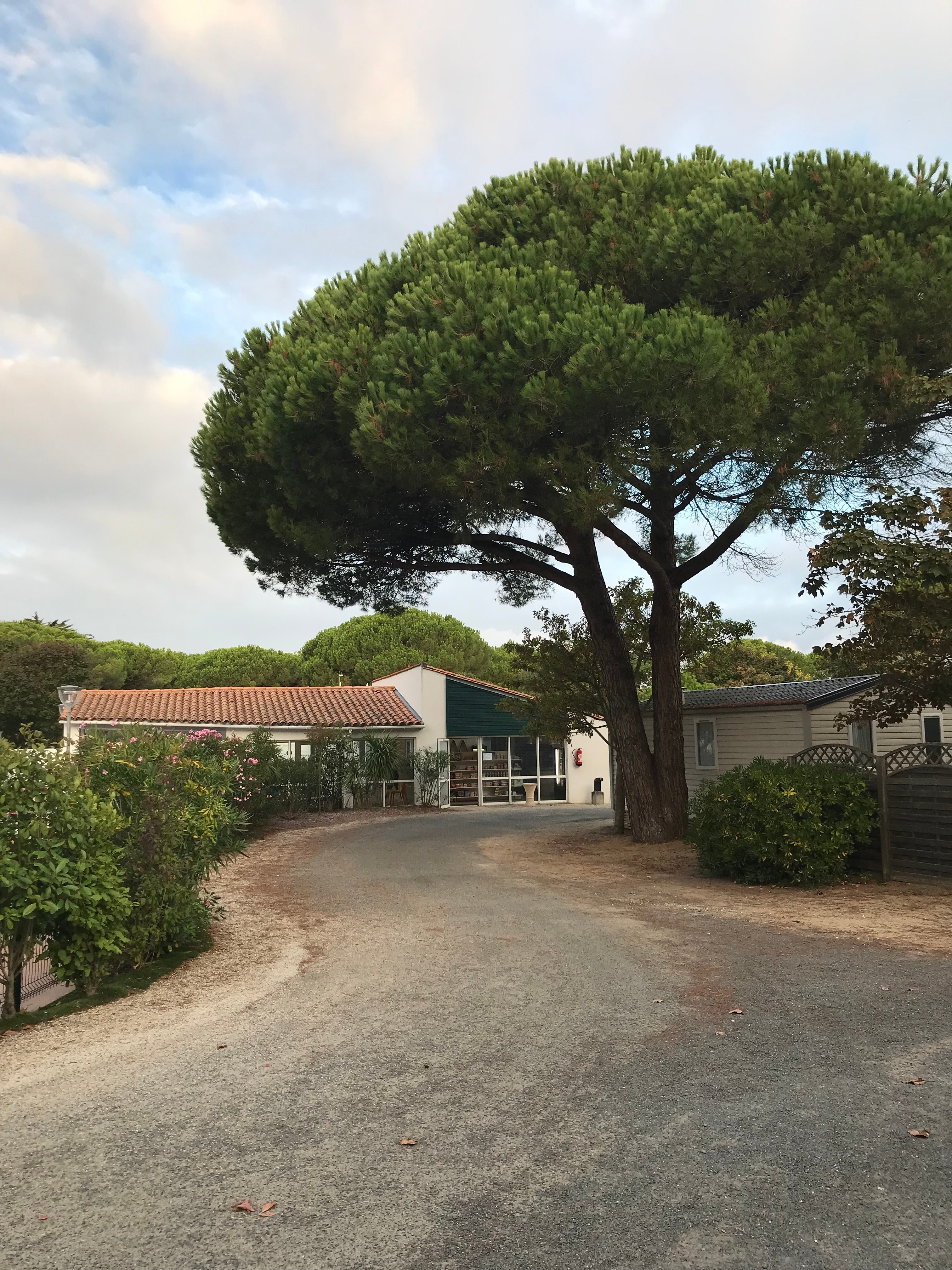 Camping Les Varennes-浴室