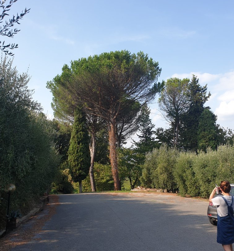 Azienda Agricola Wandanna-Montecarlo必去景点
