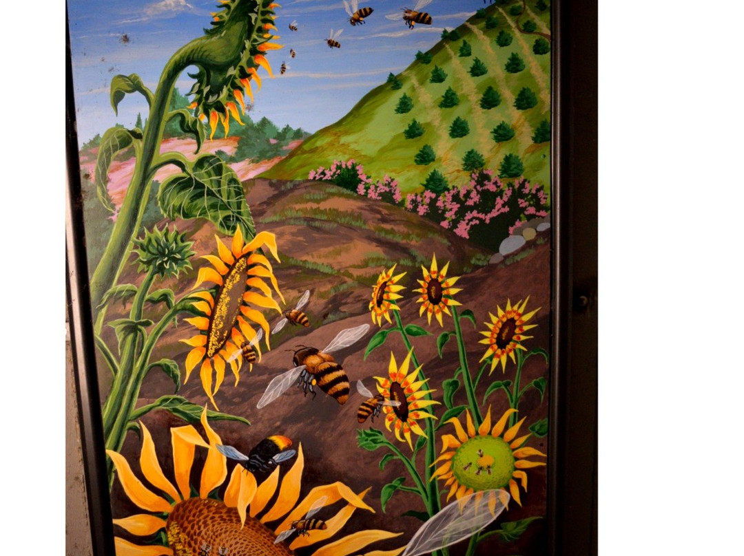 Bluebird Park-阿什兰必去景点