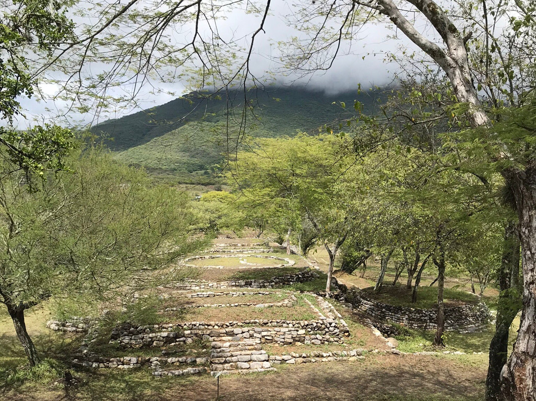 Zona Arqueológica de Tancama-Jalpan de Serra必去景点