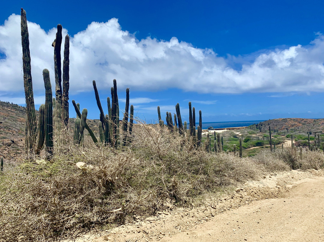 Madi Magical Tours-Santa Cruz必去景点