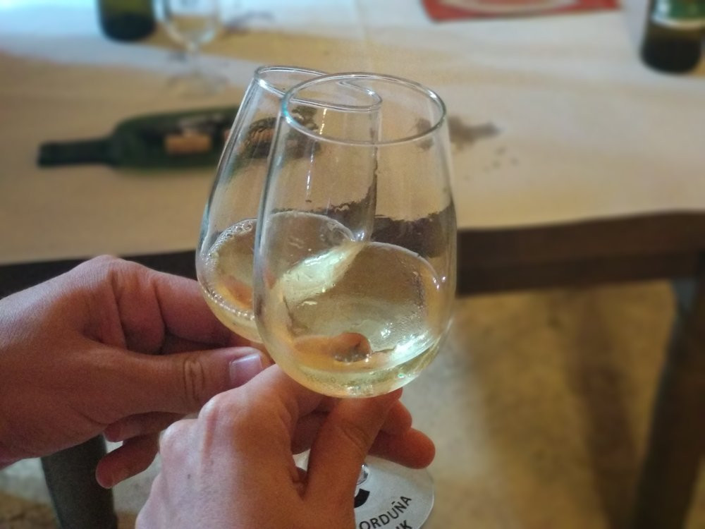 Txakoli Gure Ahaleginak景点图片