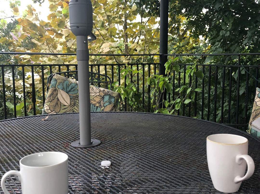 The Cressy House  Bed and Breakfast主图