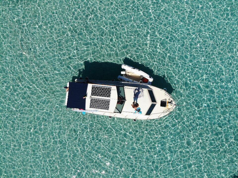 Shark Escursioni-帕劳必去景点