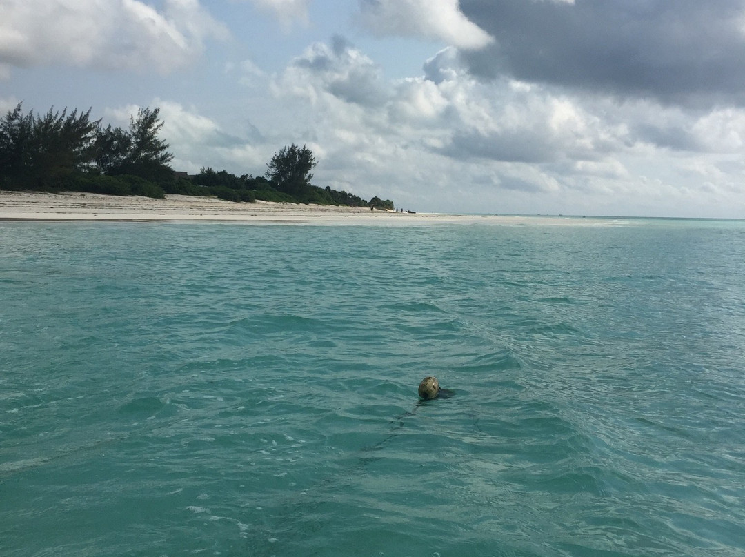 Jorjo Amani Zanzibar Tours-桑给巴尔岛必去景点