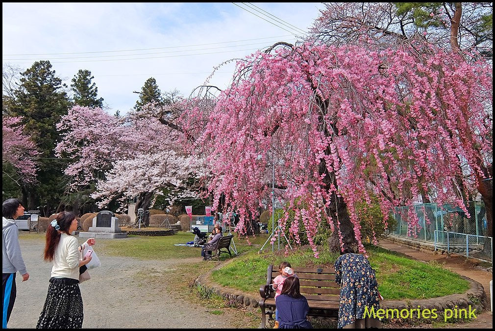 Mizusawa Park-奥州市必去景点