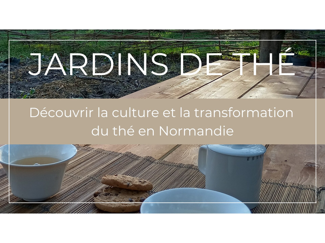Jardins De Thé - Tea Garden景点图片