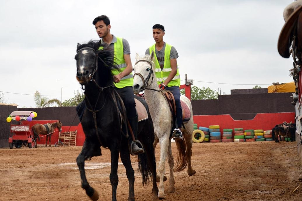 Ferme Equestre Yassmine-Madagh必去景点