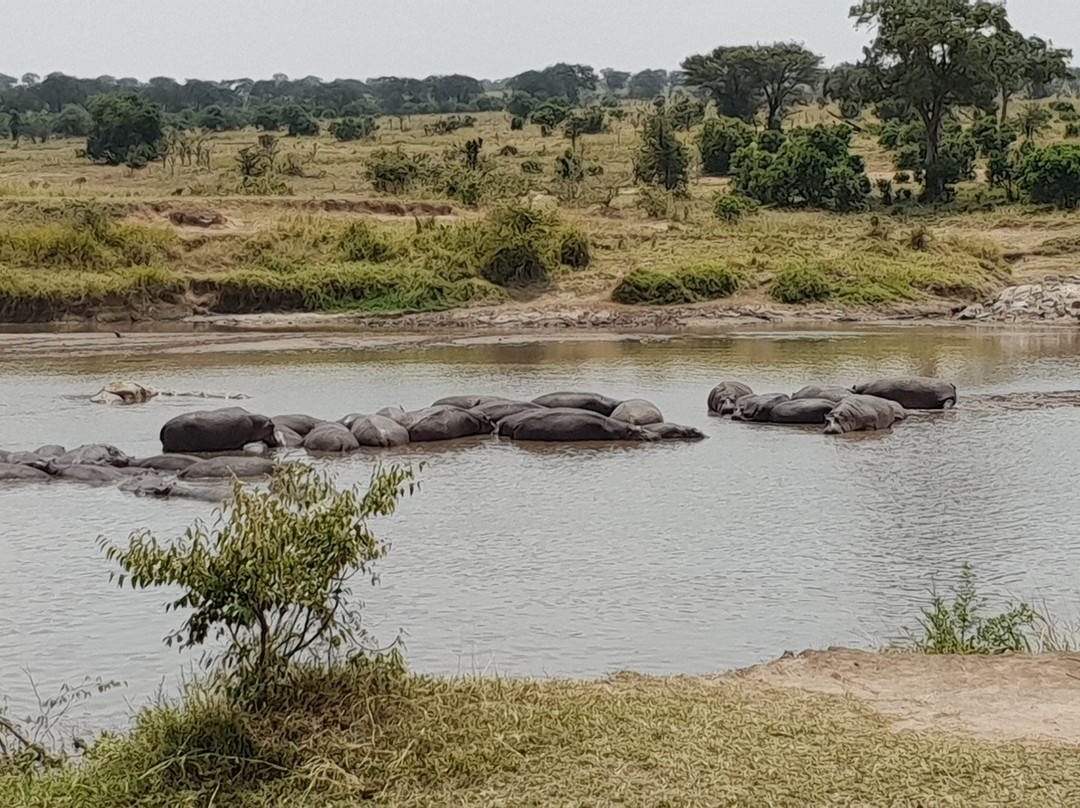 Grumeti River-塞伦盖蒂国家公园必去景点