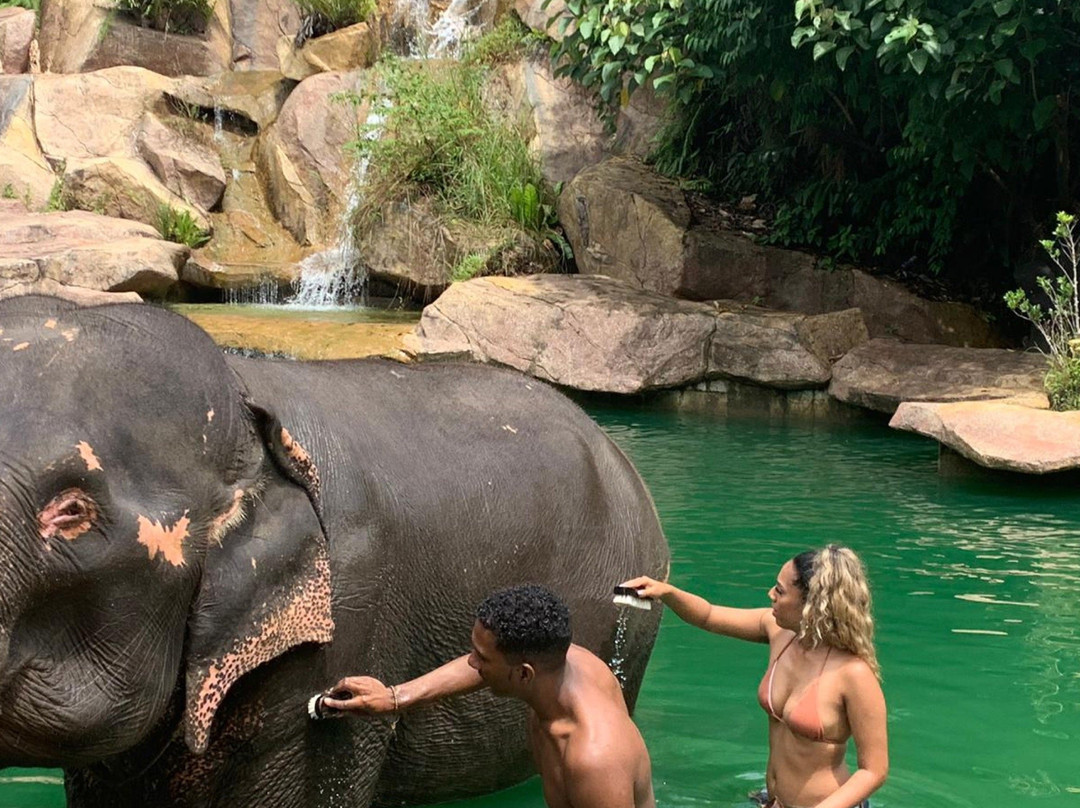 Holiday Escape Thailand-拉克山必去景点