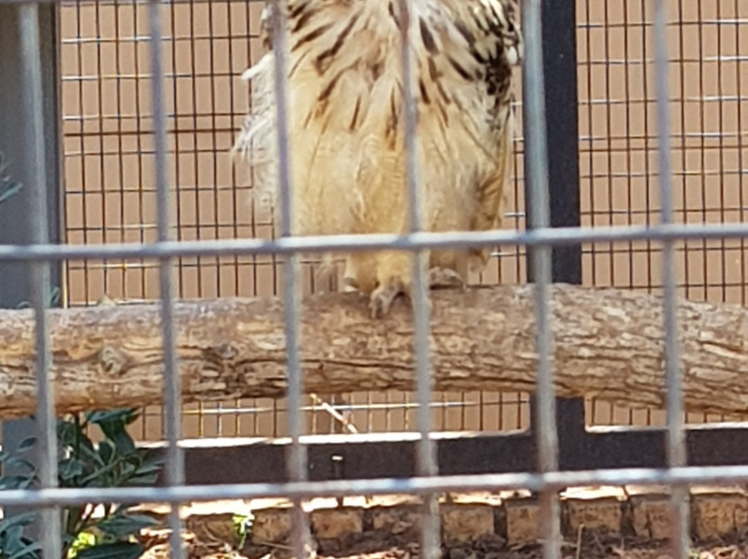 Monkey and Bird Park景点图片