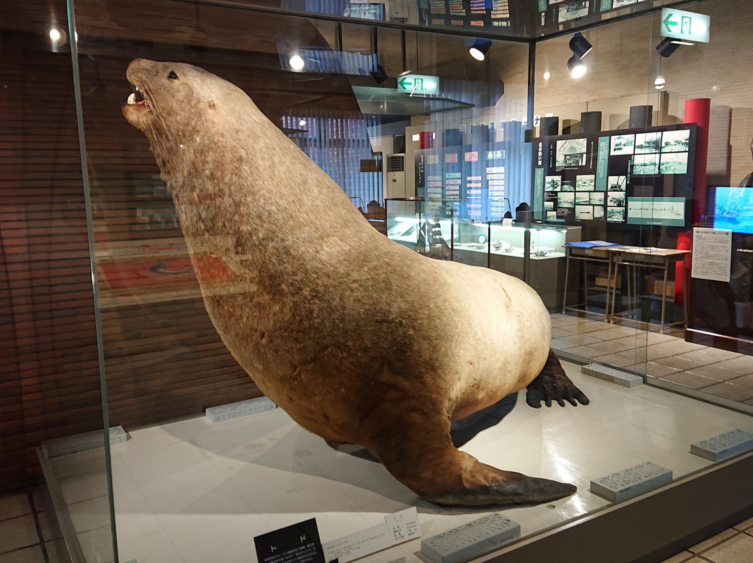 Hakodate City Northern Pacific Fishery's Document Museum-函馆市必去景点