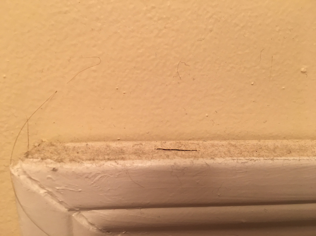 The Mimslyn Inn主图