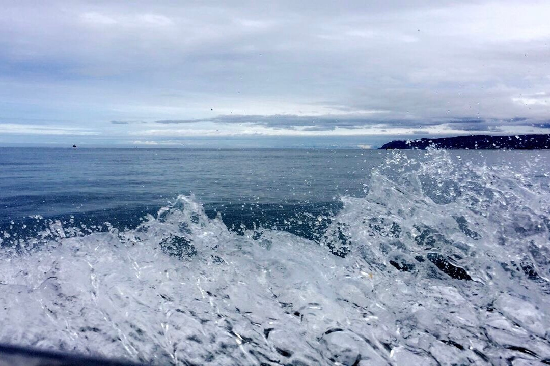 Across the Bay Tent and Breakfast主图