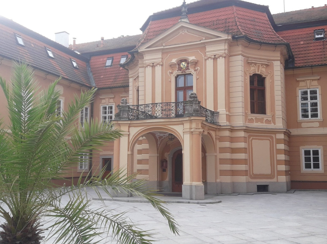 Hotel Zamek Stirin主图