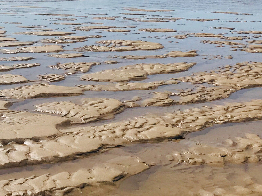 Winterton Coastwatch景点图片