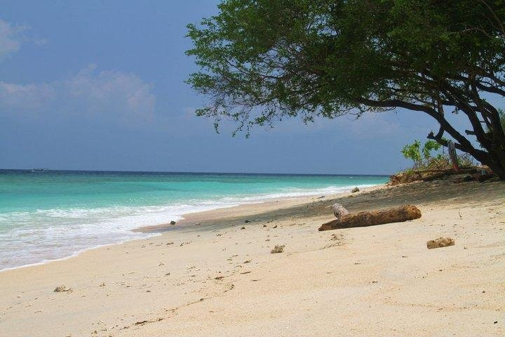 Gili Island Snorkel景点图片