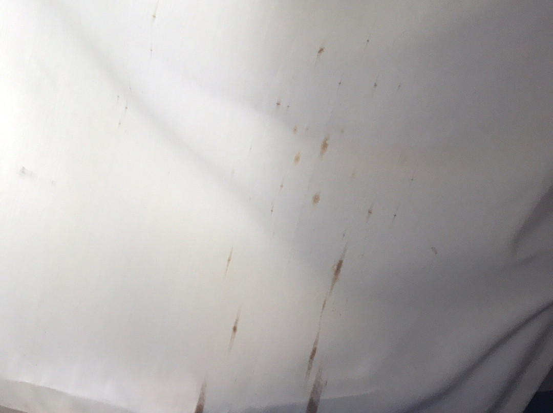 Fairfield by Marriott Inn & Suites Memphis East/Galleria主图