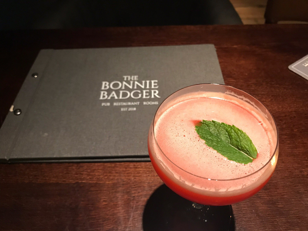 The Bonnie Badger主图