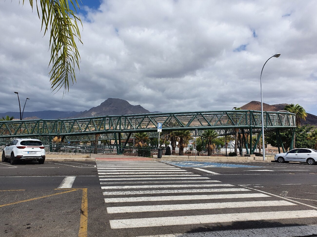 Chayofita Bridge景点图片