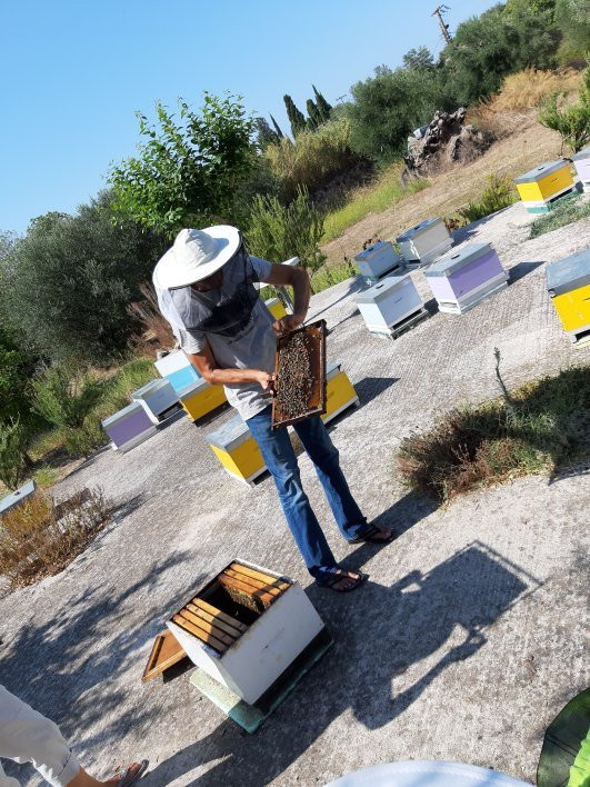 Dias Beekeeping景点图片