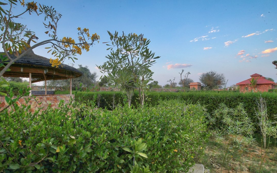 The Imperial Farm主图