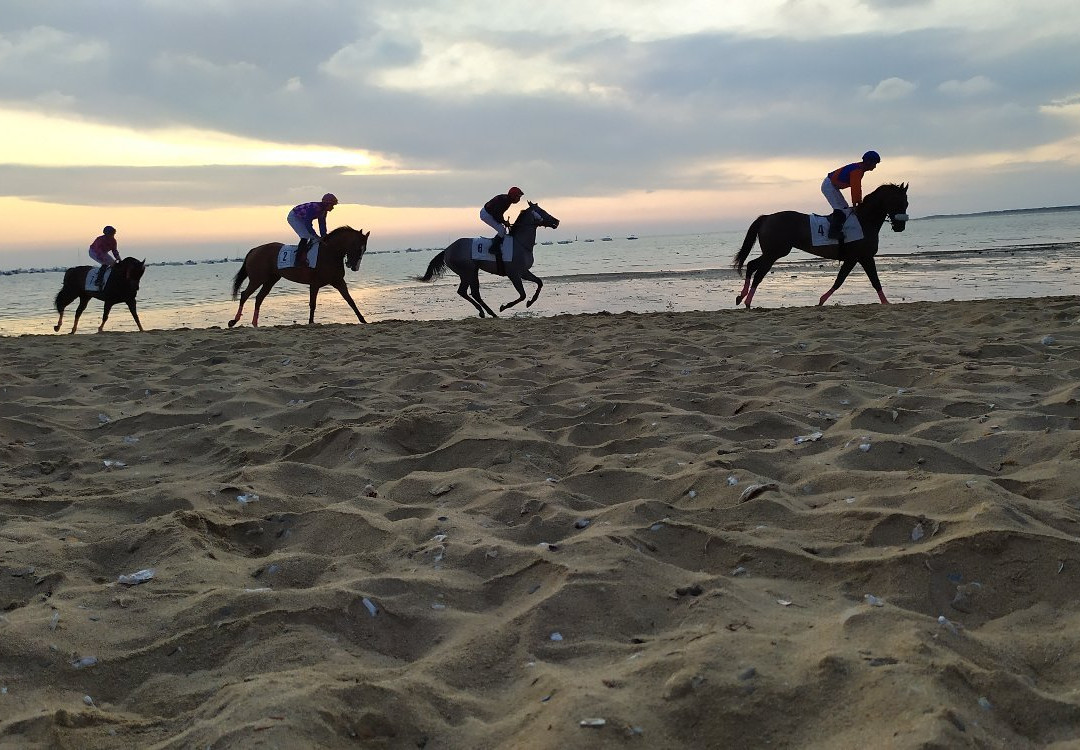 Playas de La Calzada景点图片