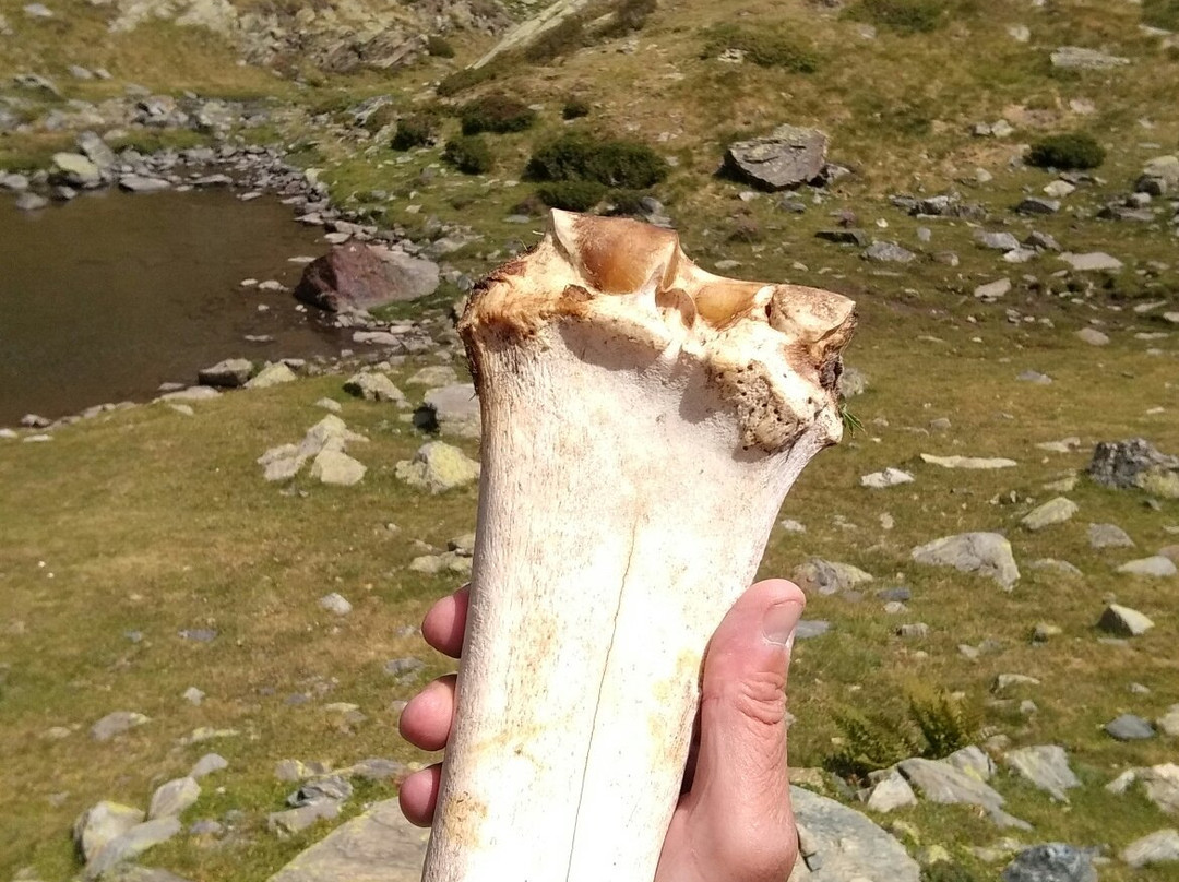 Estanys de l'Angonella-就滋必去景点