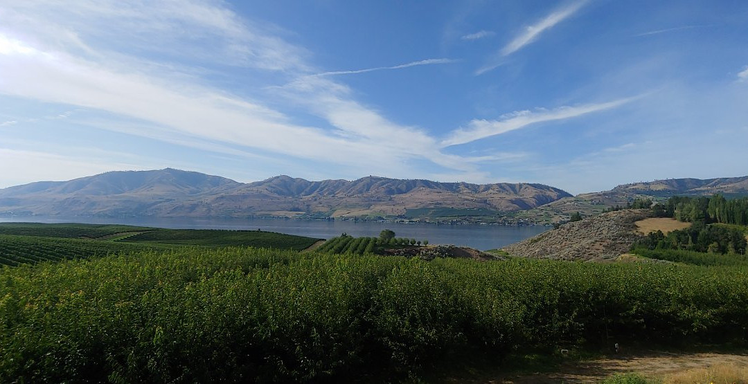 Benson Vineyards Estate Winery-Manson必去景点