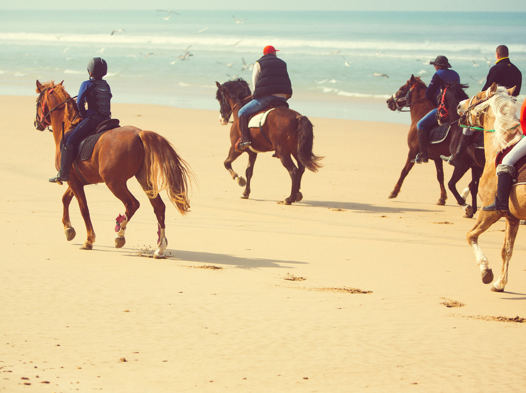 Mnar Castle Activities-丹吉尔必去景点