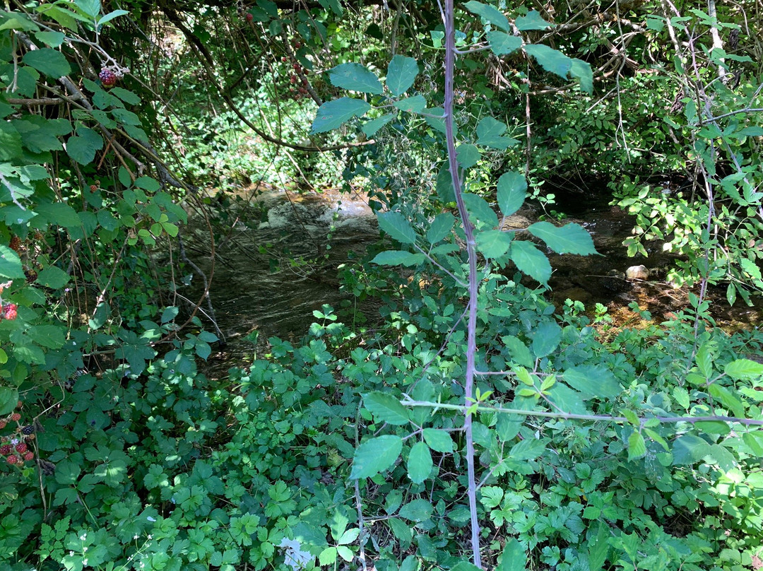 Riserva Naturale Regionale Monte Genzana e Alto Gizio-Pettorano sul Gizio必去景点