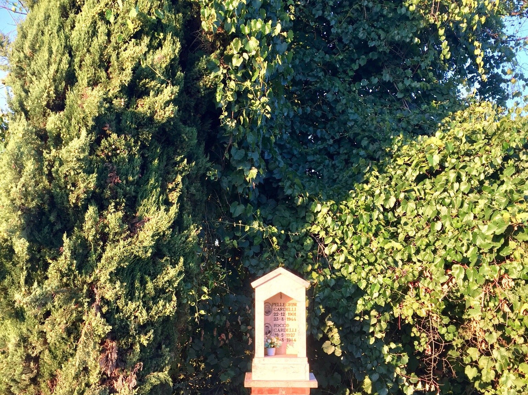 Il Padule di Fucecchio景点图片